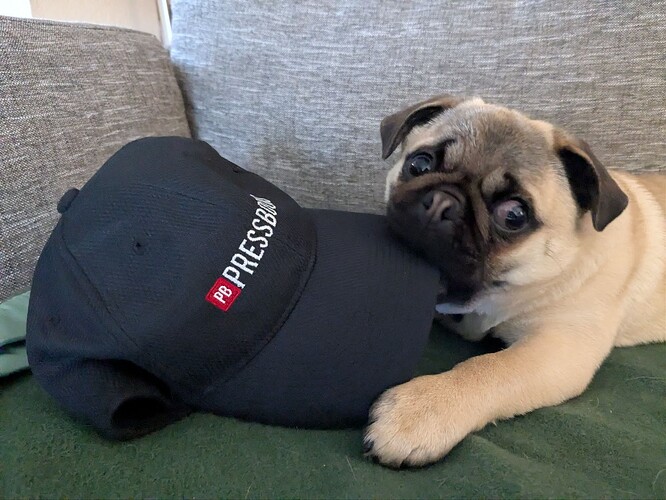 image|478x357.2080895341928