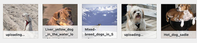 uploading_media_grid_view